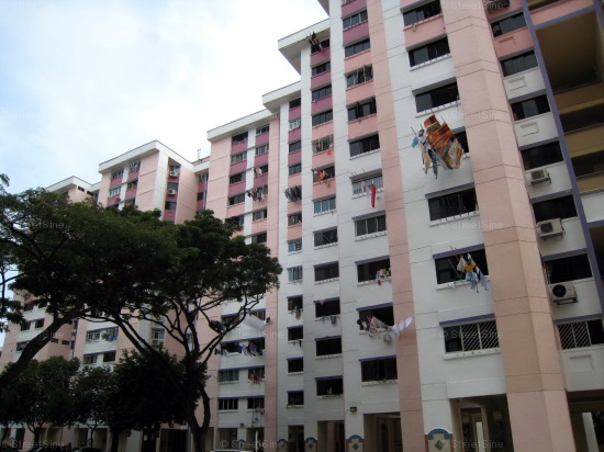 Blk 105 Bukit Purmie Ville (Bukit Merah), HDB 3 Rooms #257672